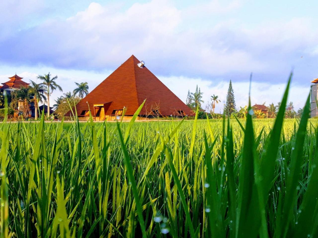 Suly Vegetarian Resort & Spa Убуд Екстер'єр фото